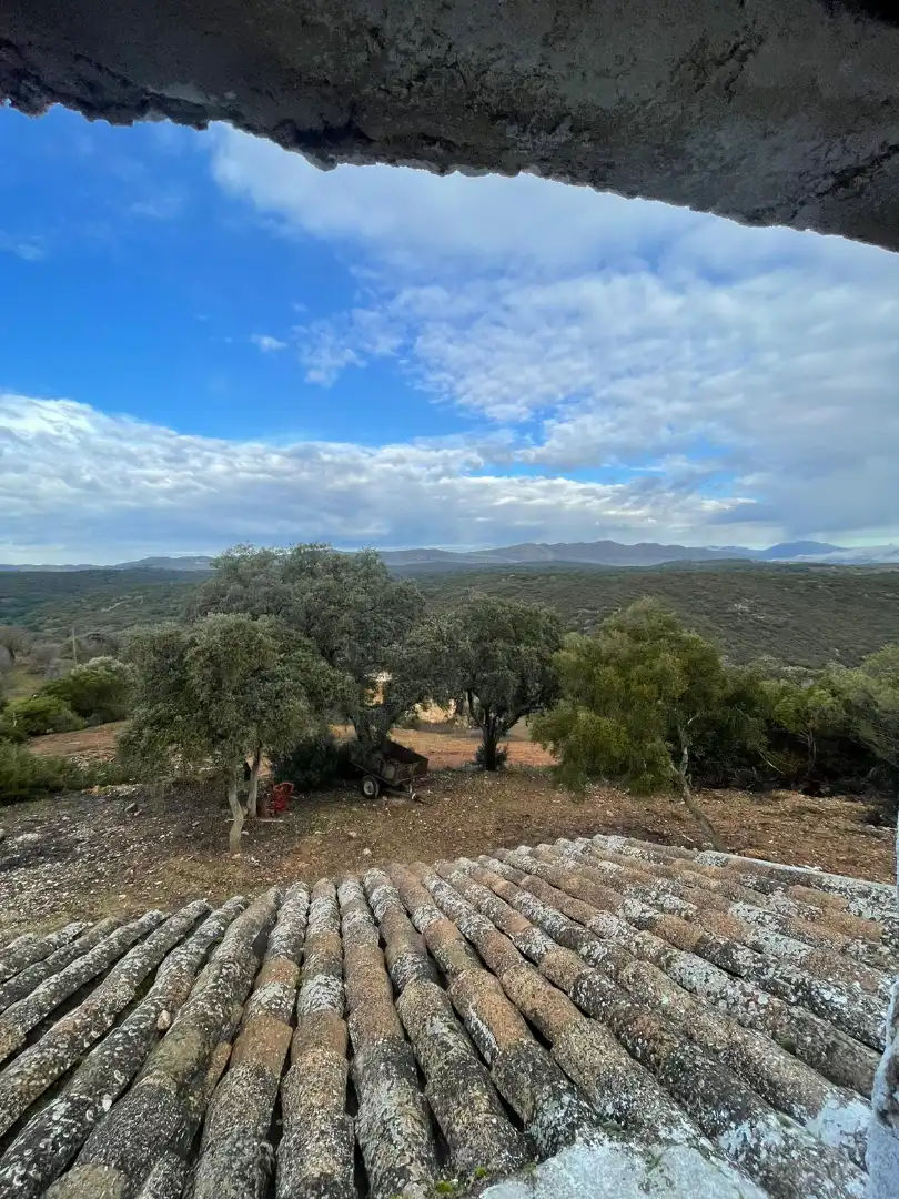 Terreno rustico in vendita a Urbanizacion el Elena S-7 6, imagen 12