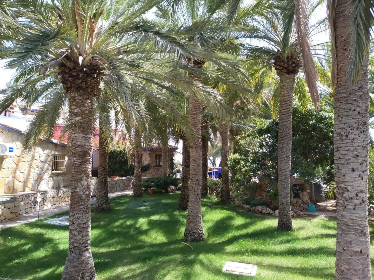 Jardí de Casa o xalet en venda en Calpe / Calp amb Aire condicionat, Jardí privat i Piscina