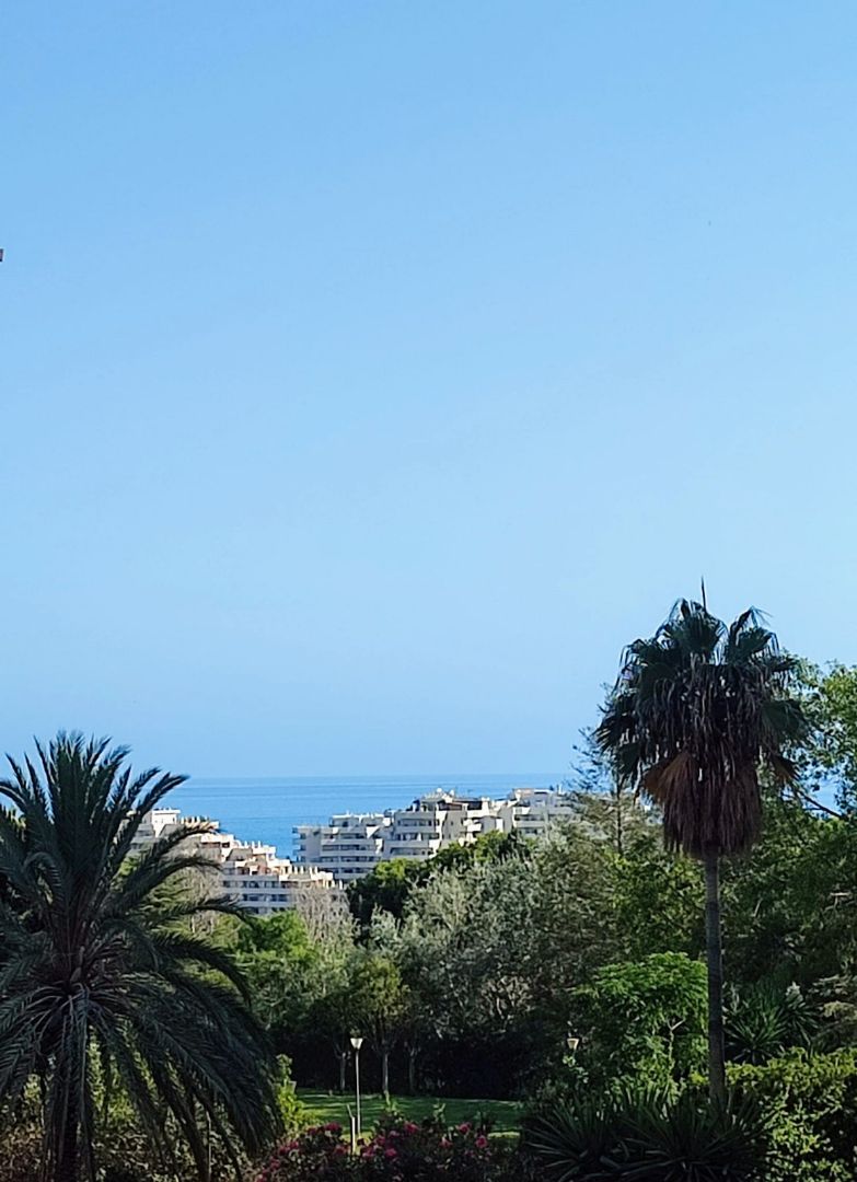 Vista exterior de Estudi en venda en Benalmádena amb Aire condicionat, Terrassa i Moblat