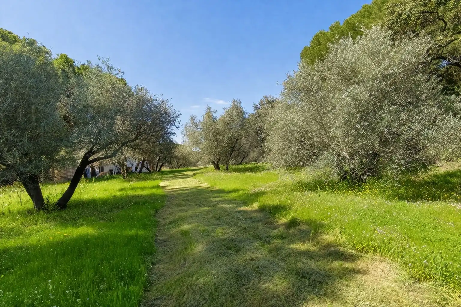 Finca rústica en venda en Andújar amb Jardí privat i Terrassa