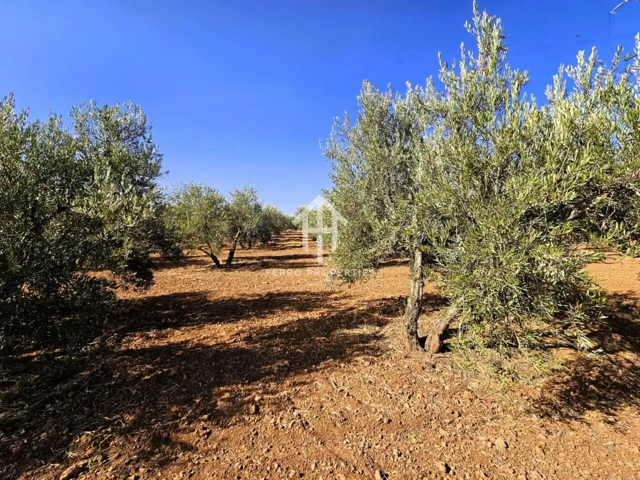Terreni e lotti in vendita a Moraleda de Zafayona, imagen 64