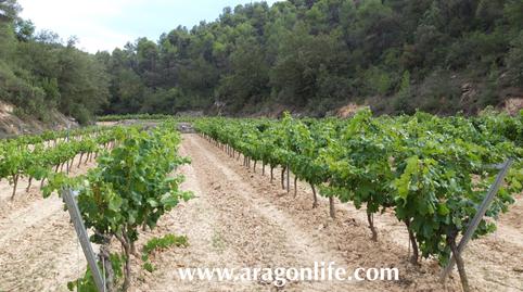 Photo 4 of Country house for sale in Carrer Major, Caseres, Tarragona