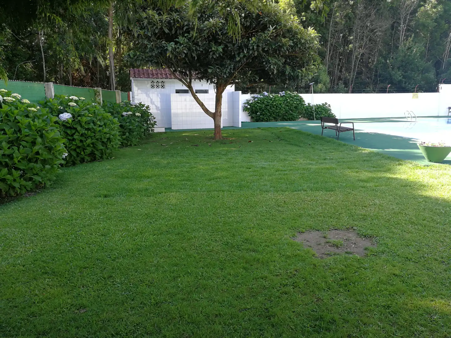 Jardín de Piso en venta en Sanxenxo con Jardín privado, Terraza y Piscina