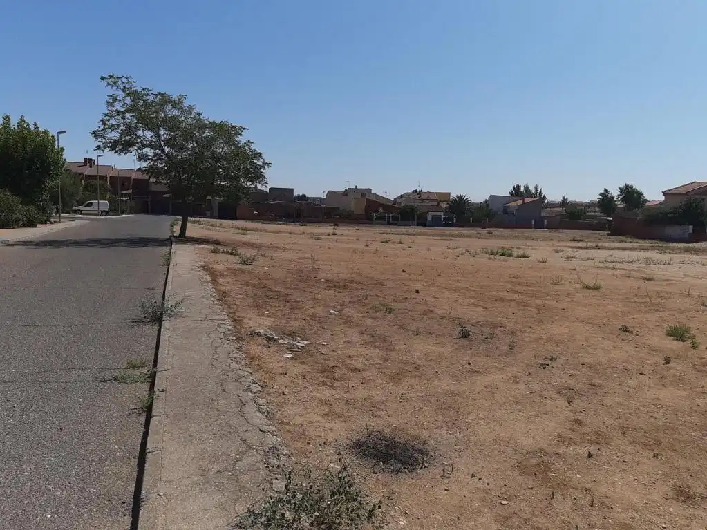 Terreno rustico in vendita a VELAZQUEZ, imagen 4