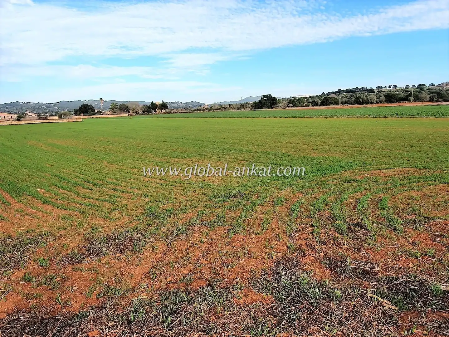 Residential land for sale in S'Horta - Cas Concos des Cavaller - Es Carritxó, imagen 2