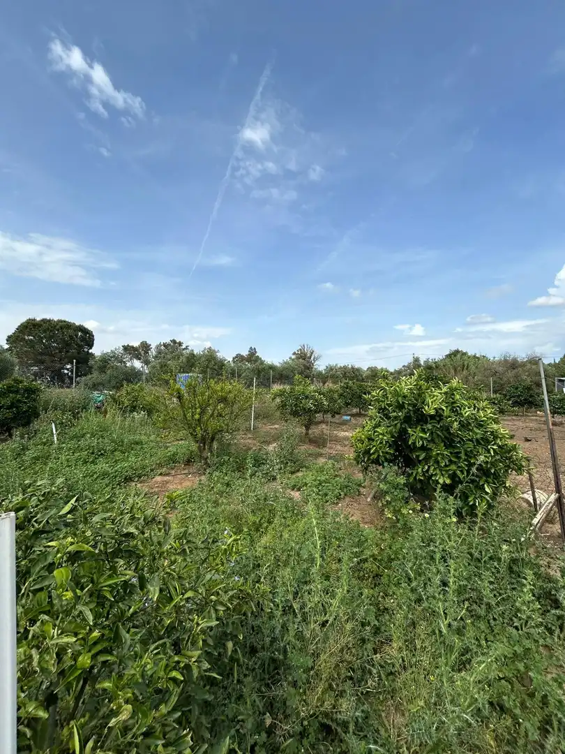 Finca rústica en venta en Utrera