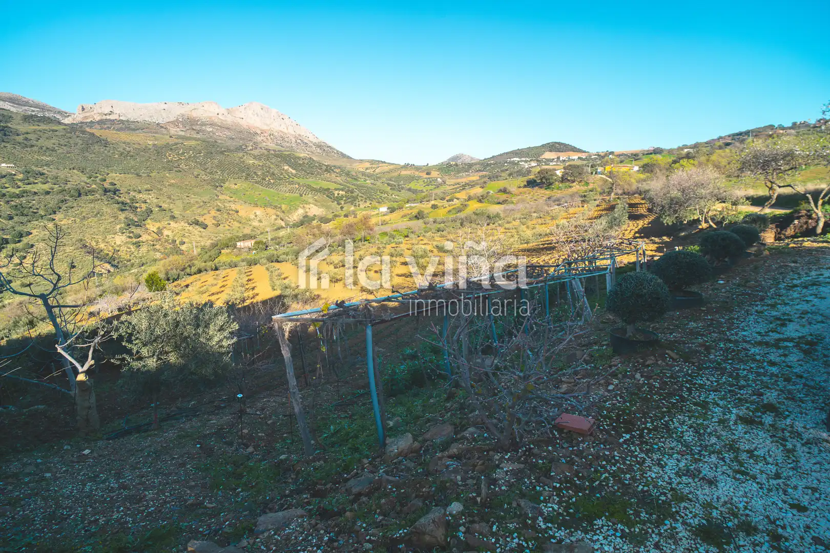 Terreni e lotti in vendita a Villanueva de la Concepción, imagen 15
