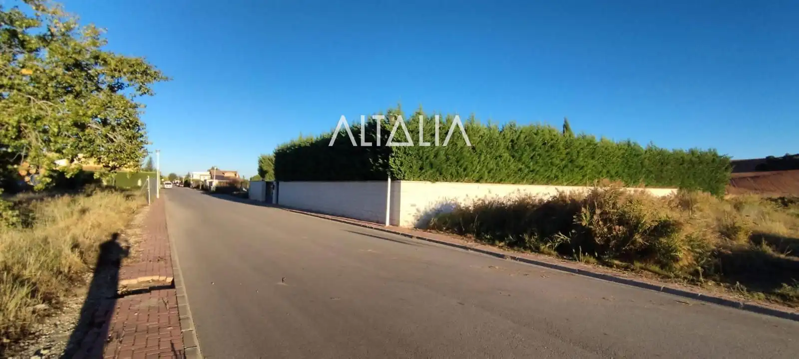 Rural land for sale in CAÑADA MOLINA, imagen 10