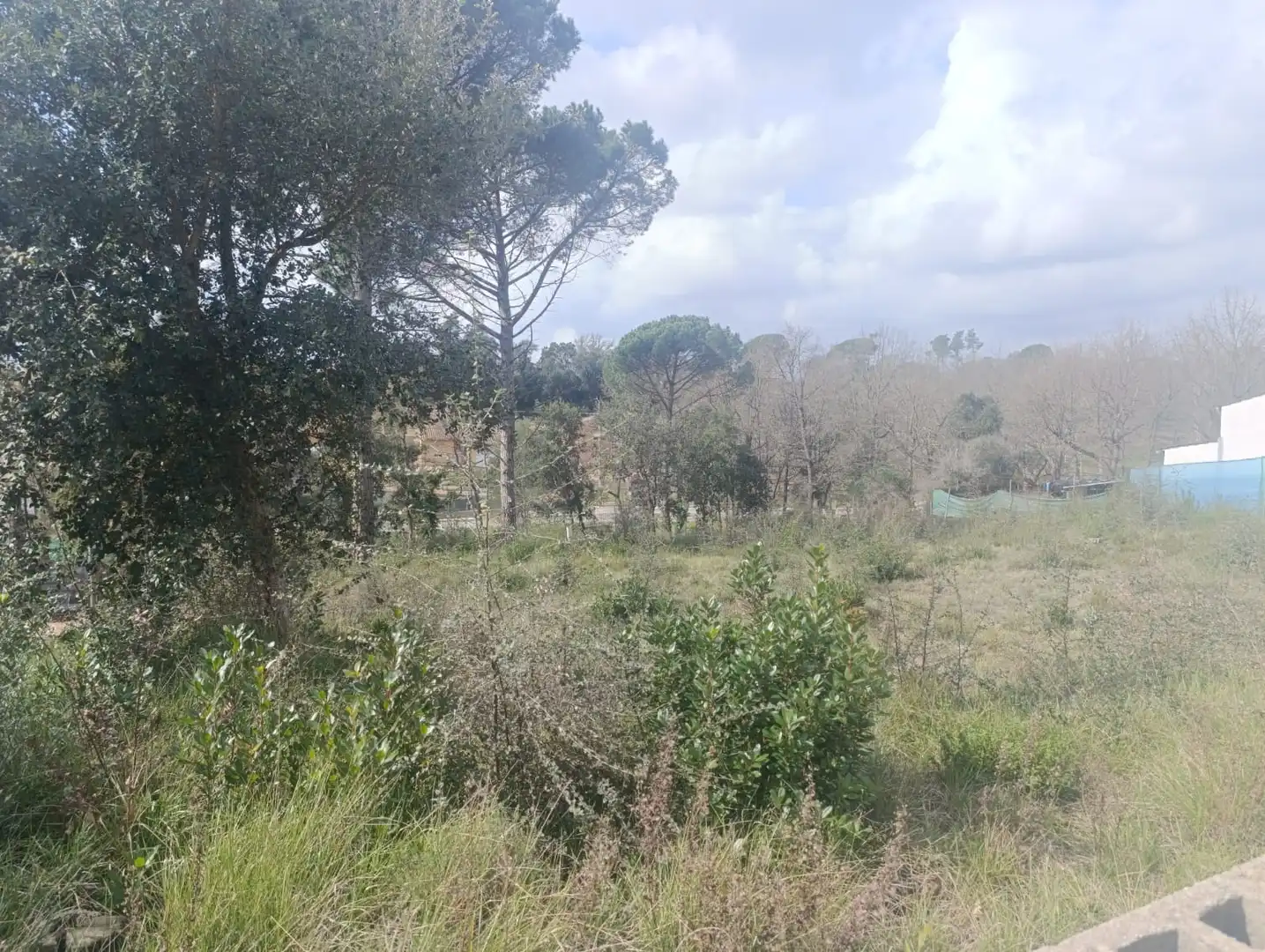 Residential land for sale in Sils, imagen 5