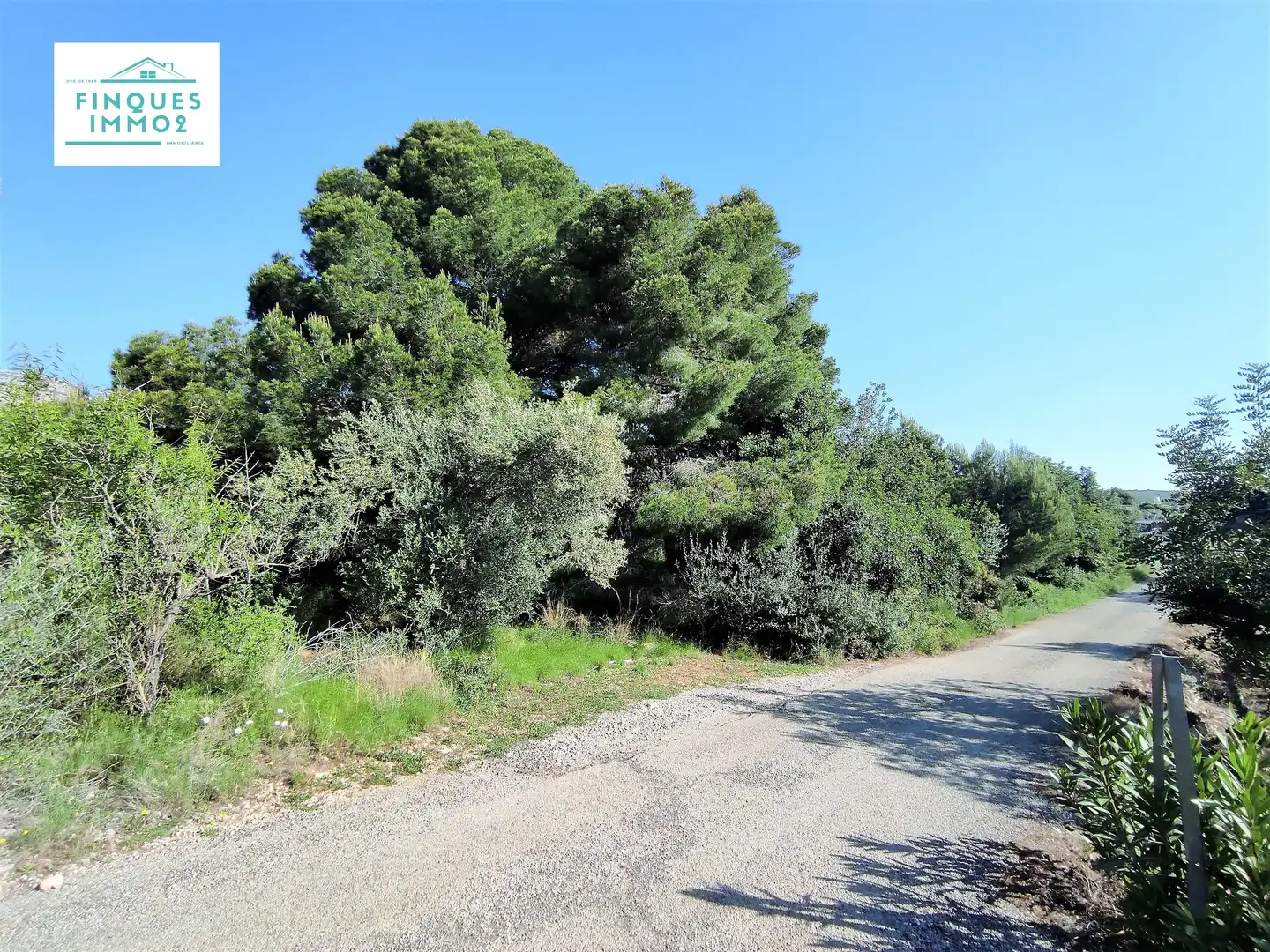 Rural land for sale in Alcanar