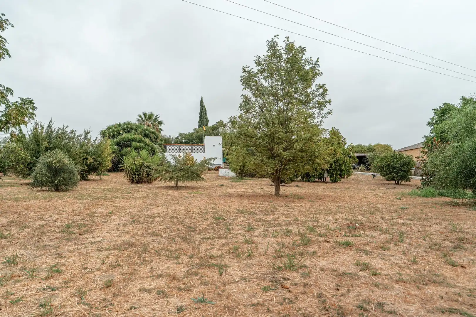 Villa avec piscine à vendre à Manzanilla, imagen 29