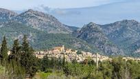 Vista exterior de Finca rústica en venda en Selva amb Jardí privat i Terrassa