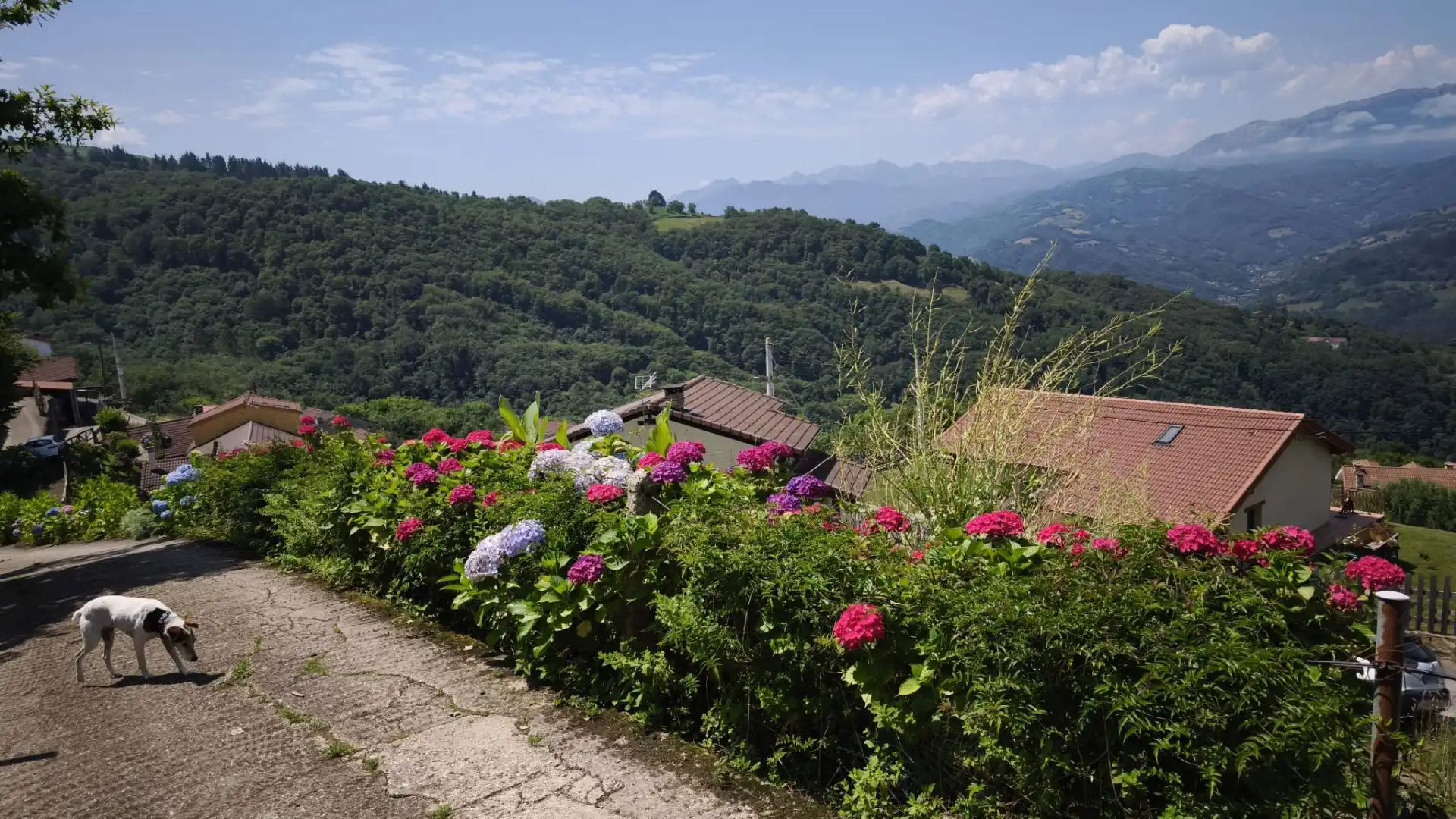 Jardí de Casa o xalet en venda en Mieres (Asturias) amb Jardí privat, Terrassa i Traster