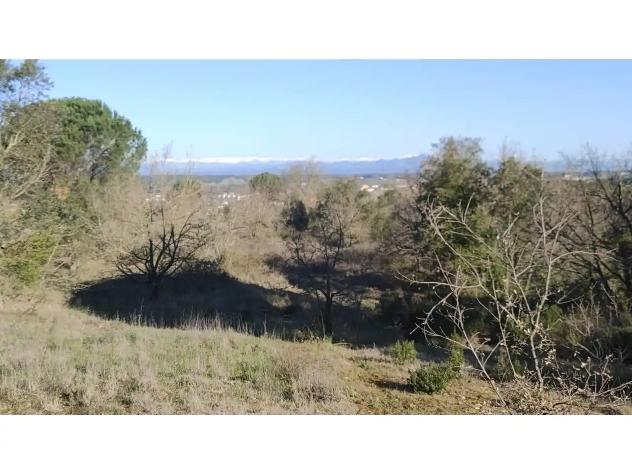 Terrain rustique à vendre à Calle VEINAT MATEUES 11, imagen 2