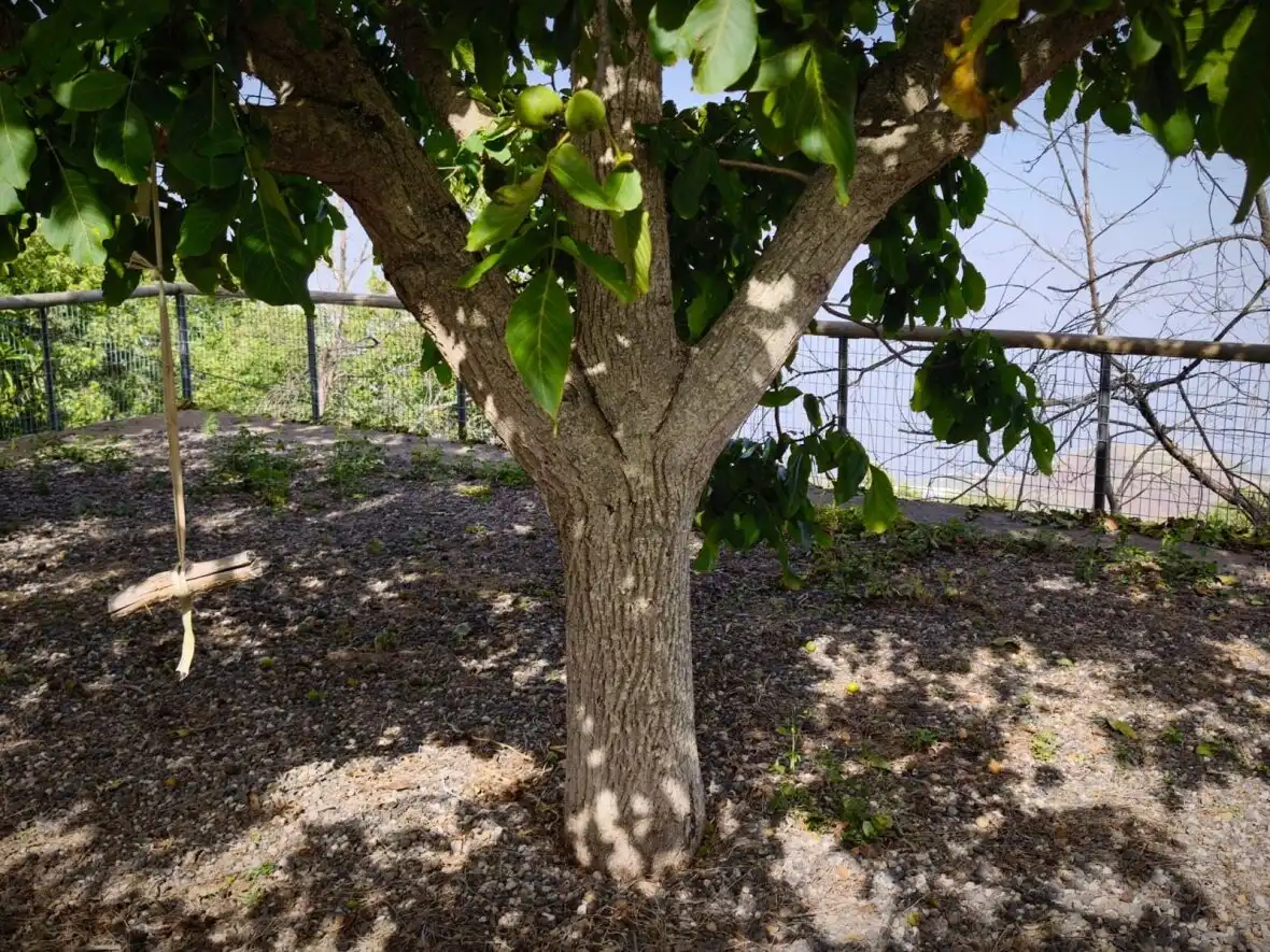 Garten von Country house zum Verkauf in La Matanza de Acentejo mit Terrasse