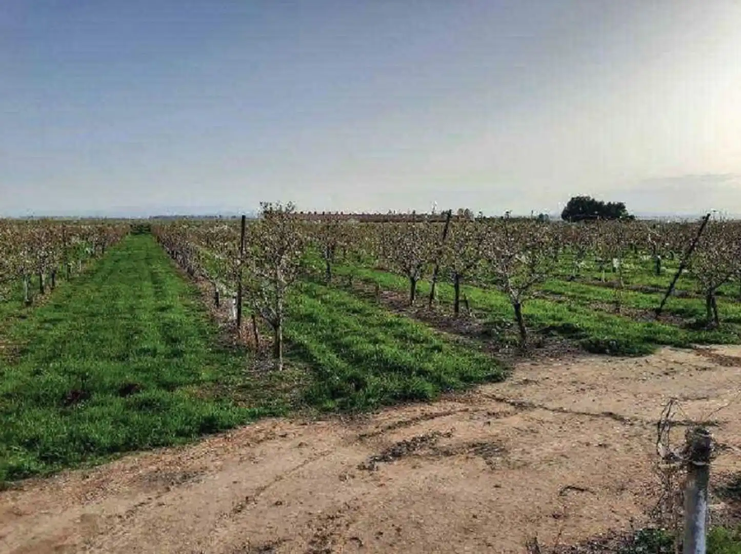 Rustikales Grundstück zum Verkauf in FENOJAL 0, imagen 2