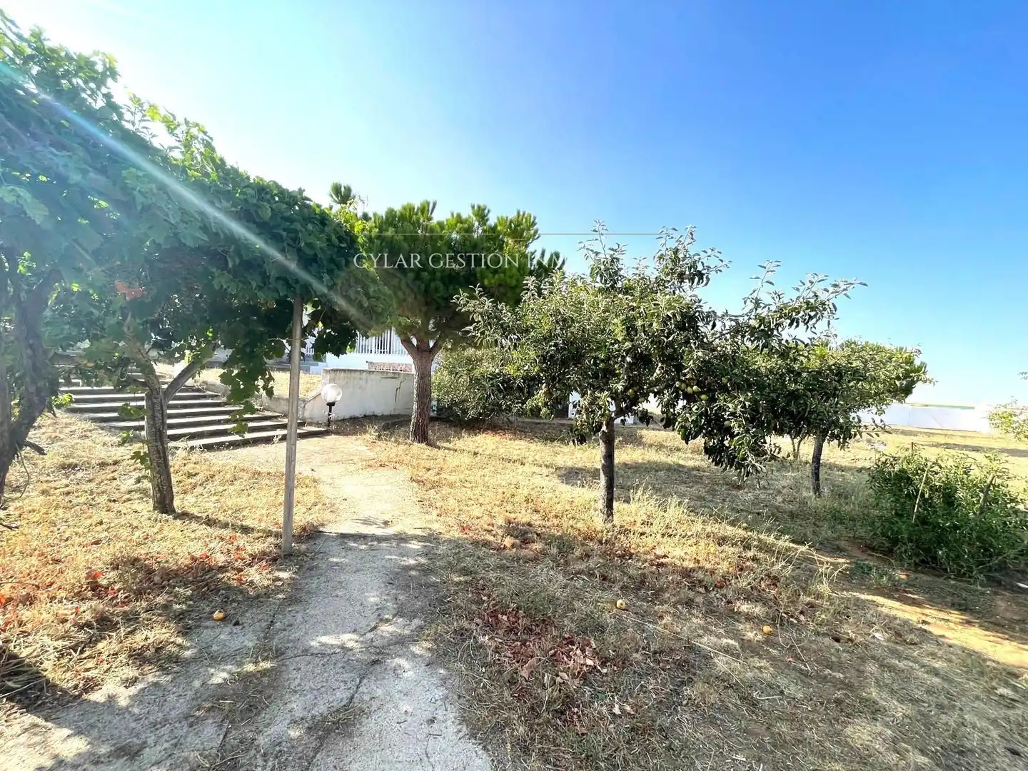 Casa o xalet en venda a Diosa Diana, Castellanos de Villiquera