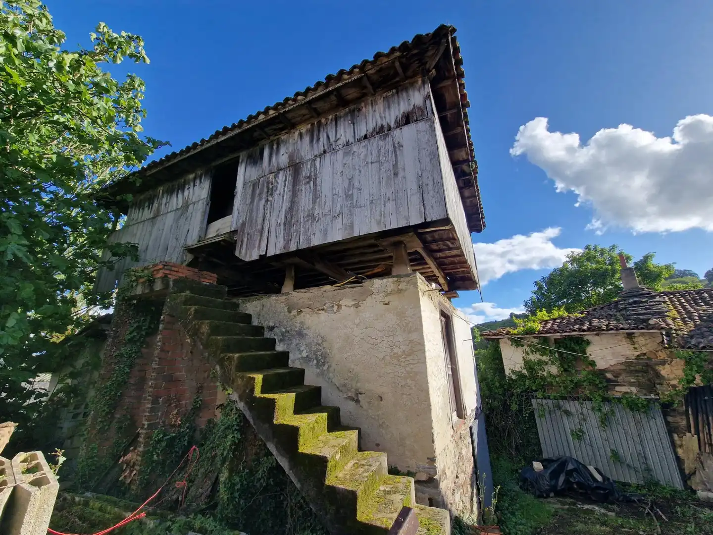 Vista exterior de Finca rústica en venta en Tineo con Balcón y Piscina comunitaria