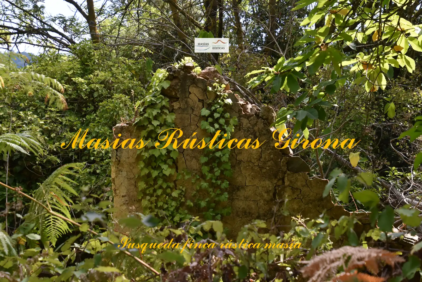 Casa rústica amb jardí en venda a Susqueda, imagen 4