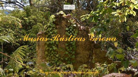 Foto 4 de Finca rústica en venta en N/a, -1, Susqueda, Girona