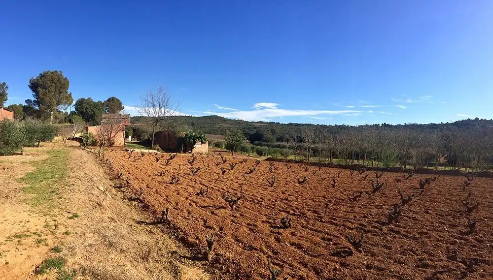 Country homes for sale in Cistella