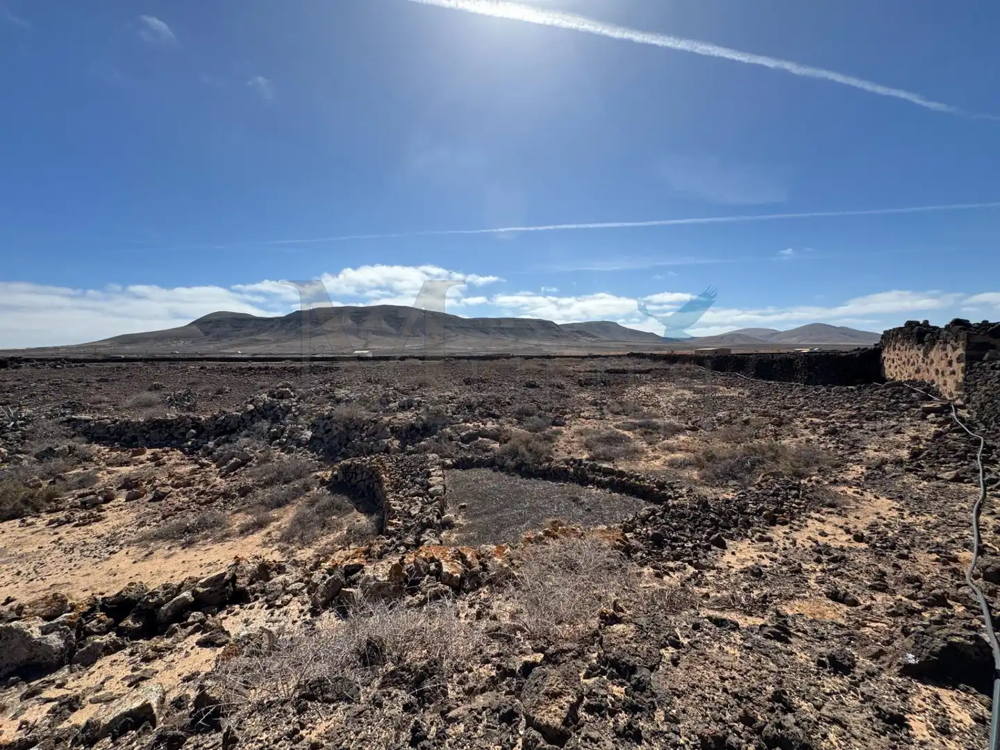 Land for sale in La Oliva