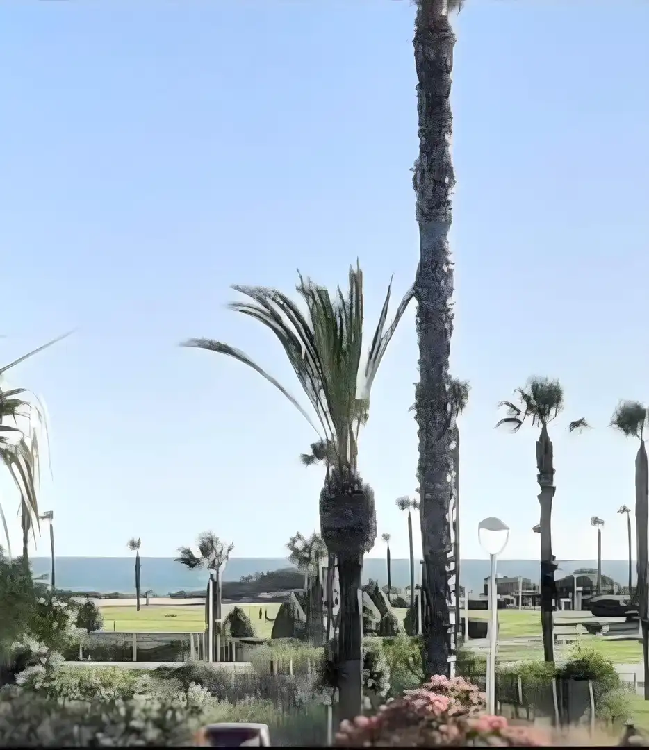 Flat for sale in Plaza Plaza de Europa, Las Tres Piedras - Costa Ballena