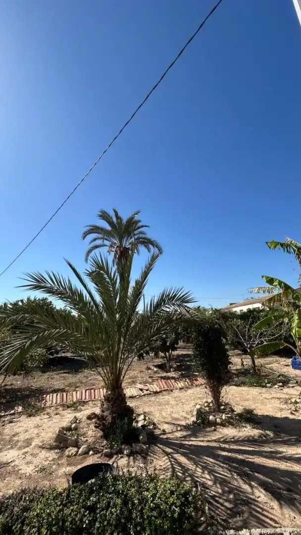 Maison à vendre à Jubalcoi, imagen 12