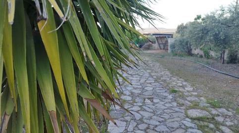 Photo 3 of Country house to rent in Bobadilla - Bobadilla Estación - La Joya, Antequera