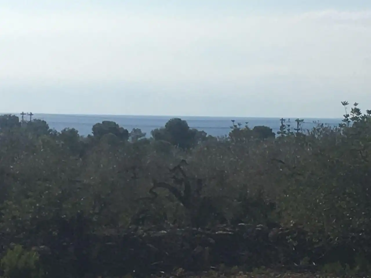 Terrenos y solares en venta en Estany Podrit, imagen 8