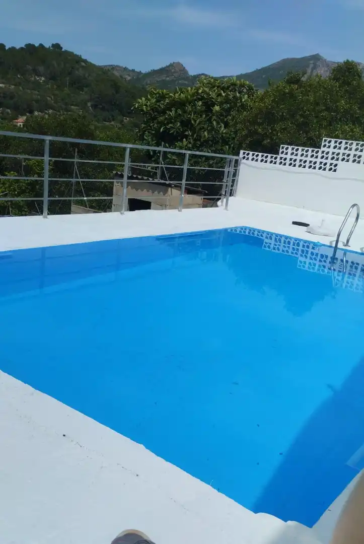 Piscina de Casa o xalet en venda en Alzira amb Aire condicionat, Jardí privat i Traster