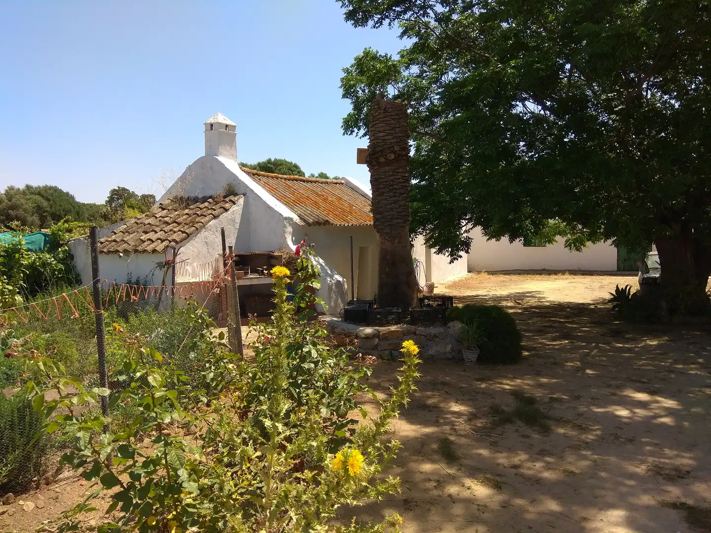 Terreno rustico in vendita a San Bernabé, imagen 2