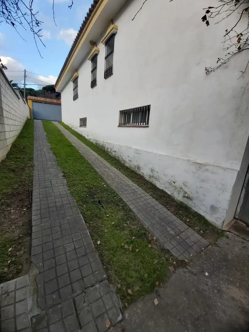 Chalet en venta en Los Pinos, imagen 56