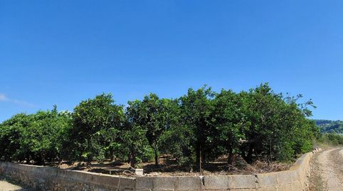 Foto 4 de Terreno en venta en Pl. Poligono 11, Urbanitzacions i Pedanies Nord, Alzira