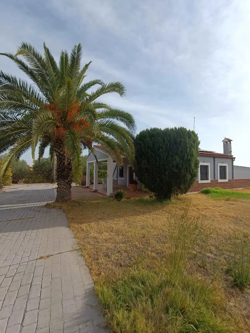 Villa mit Pool zum Verkauf in Villanueva de la Serena, imagen 6