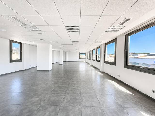Oficina en Alquiler en Son Anglada