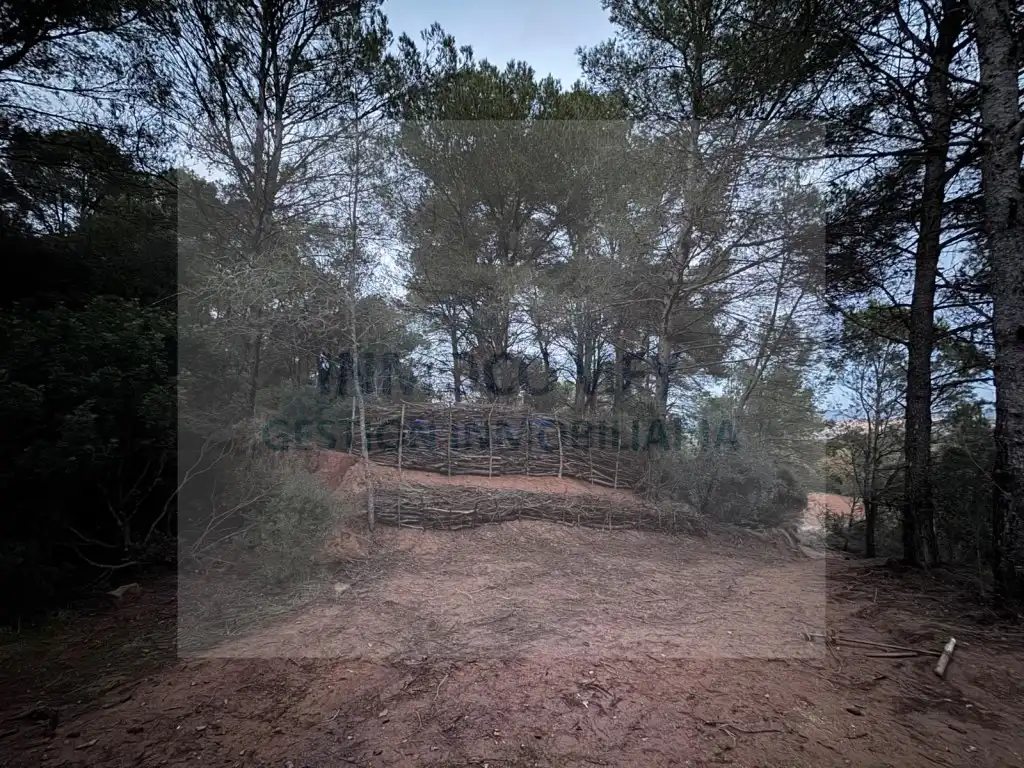 Terreno rústico en venta en Poligono 9 Paraje 190 Serra Sa 52-P, imagen 3