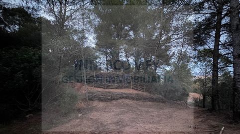 Terreno rustico en venta en Ullastret, immagine 3