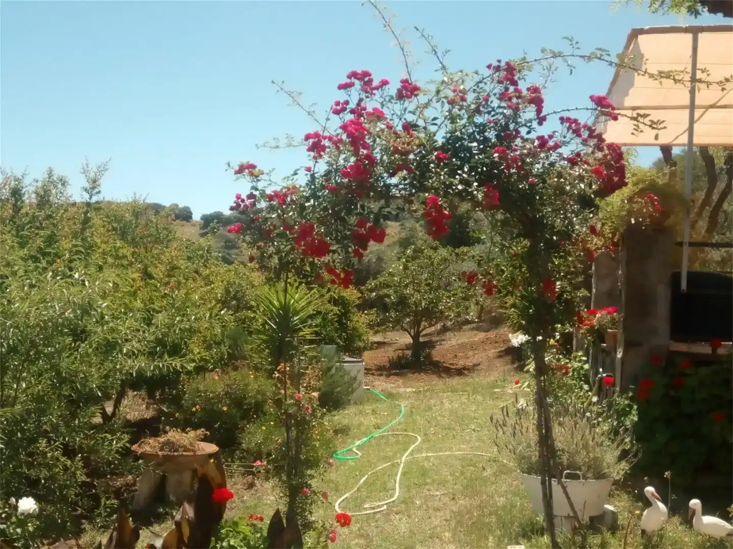 Jardín de Terreno en venta en Montellano