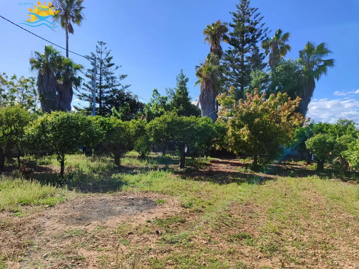 Casa con piscina en venta en Zona Papa Luna - Platja del Gurugú, imagen 8