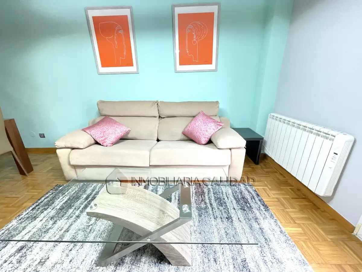 Sala d'estar de Pis en venda en Burgos amb Calefacció