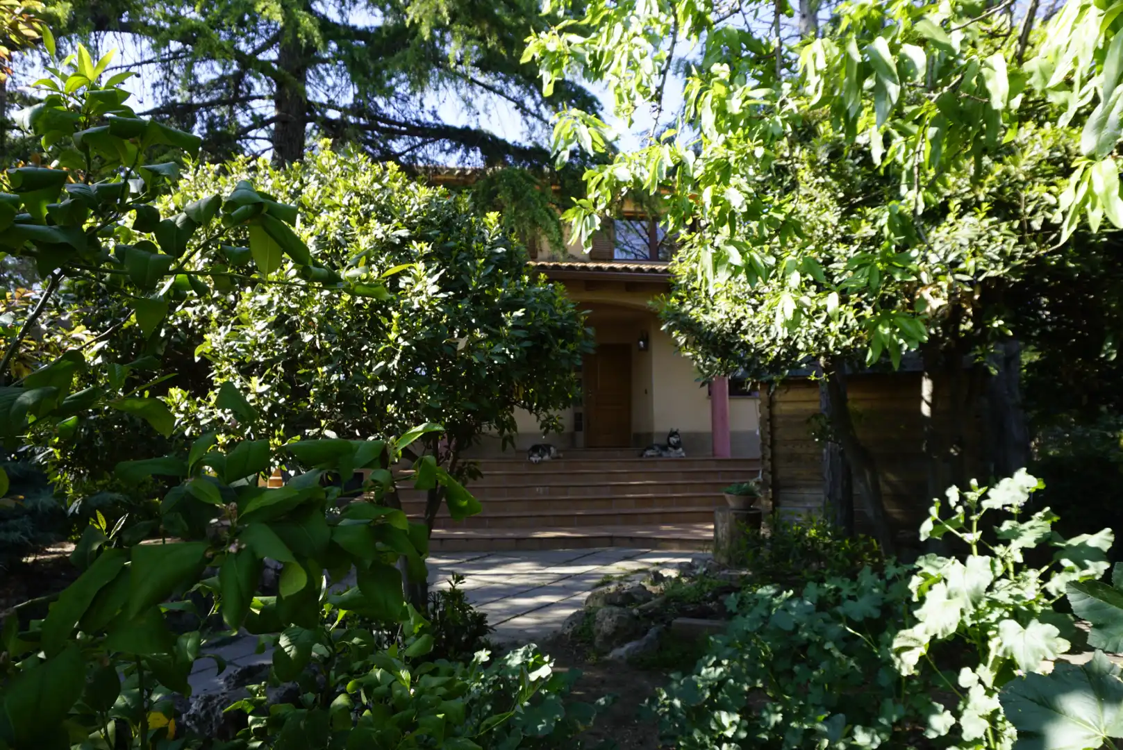 Villa avec piscine à vendre à Collbató, imagen 80