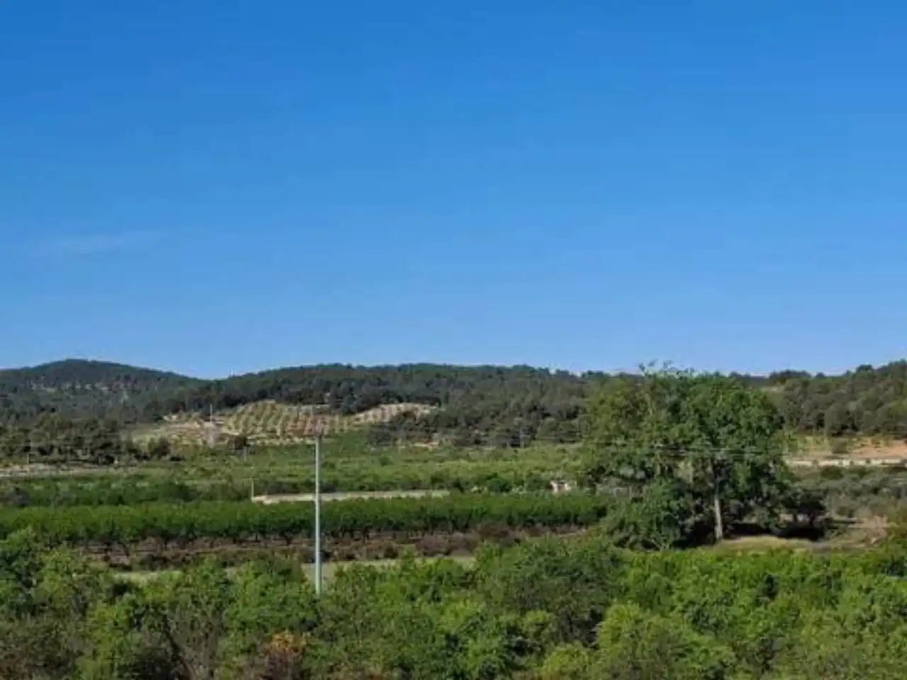 Casa o chalet en venta en Letur