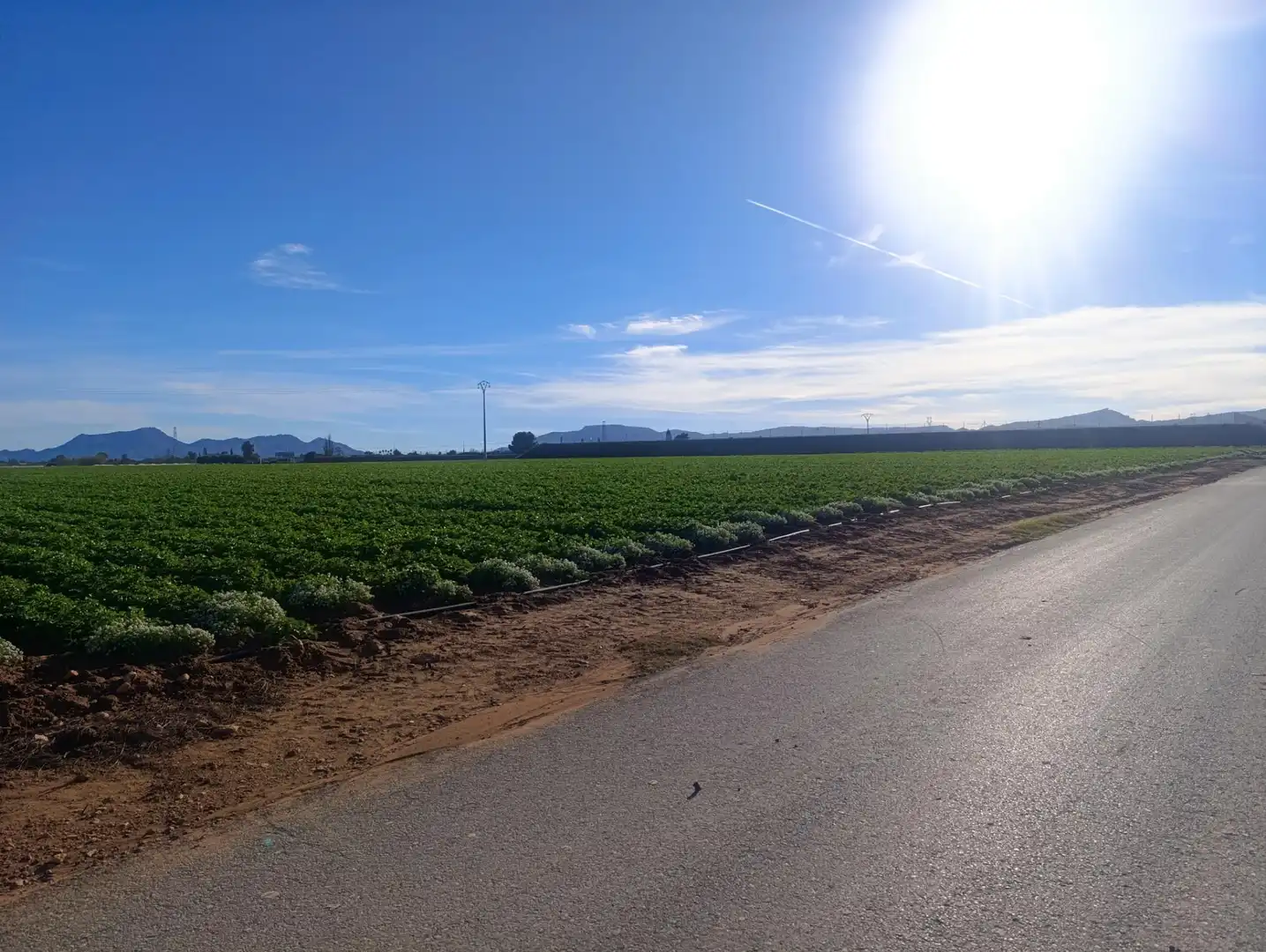 Terreno rústico en venta en Pasaje TORRE CALIN-DS ALJORRA 1, imagen 5