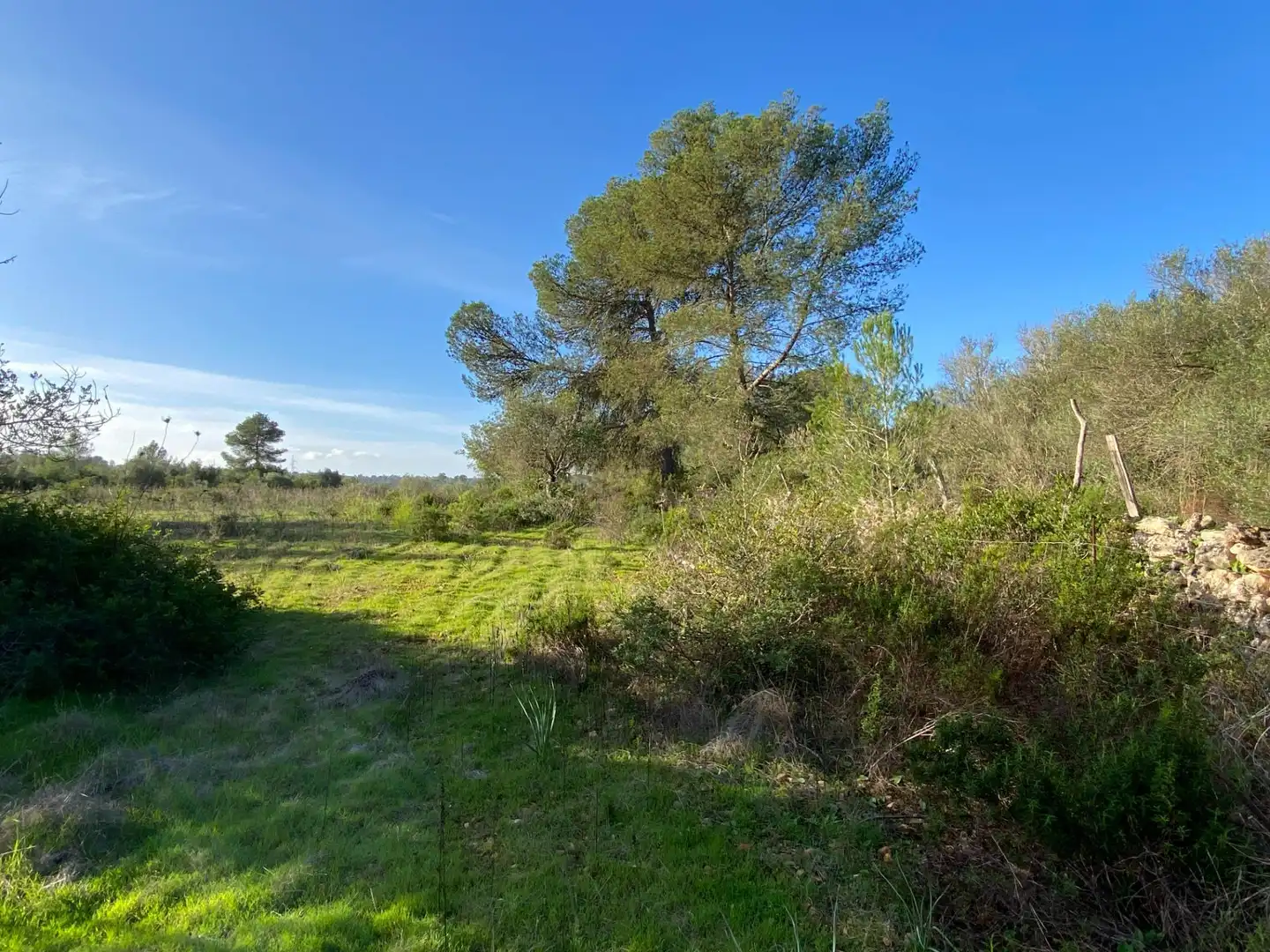 Maison rustique à vendre à Sineu, imagen 17