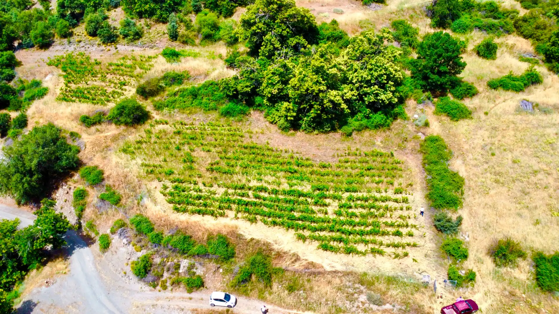 Terreni e lotti in vendita a Alpujarra de la Sierra, imagen 29