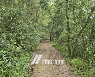 Exterior view of Land for sale in Fruiz