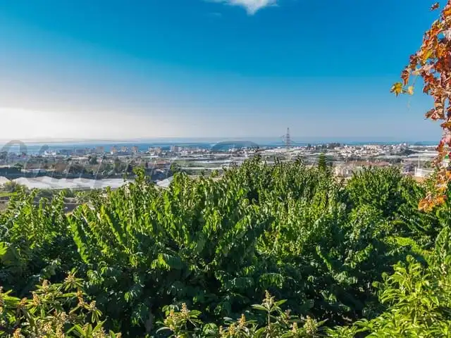 Terreni e lotti in vendita a Torrox Pueblo, imagen 3