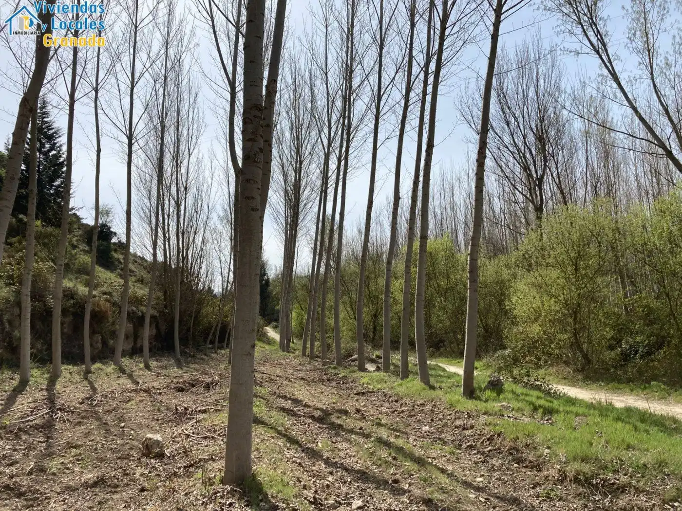 Terreni e lotti in vendita a Alhama de Granada, imagen 38