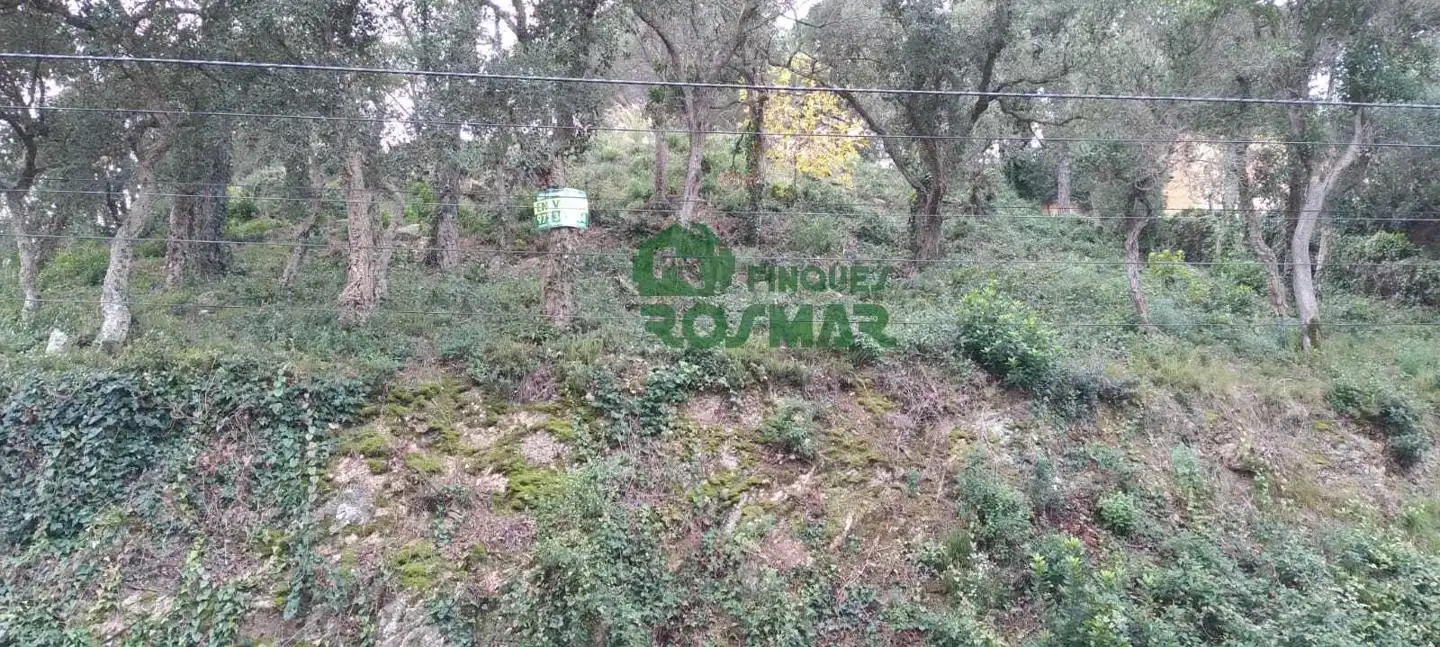Terrenos y solares en venta en Serra Brava, imagen 2